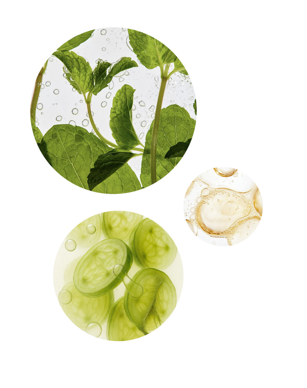 Detox Therapy Scalp Tonic